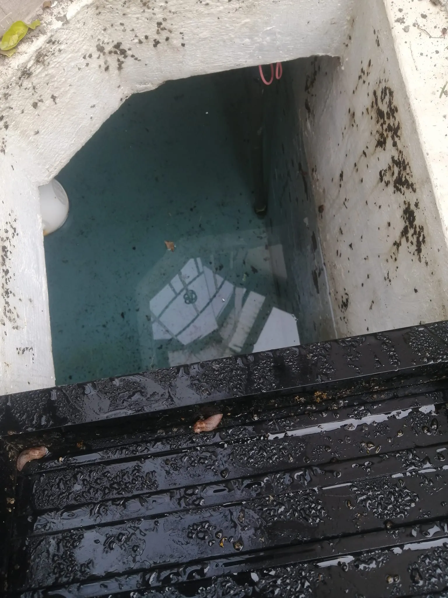 Servicio de Limpieza y Desinfección de Cisternas