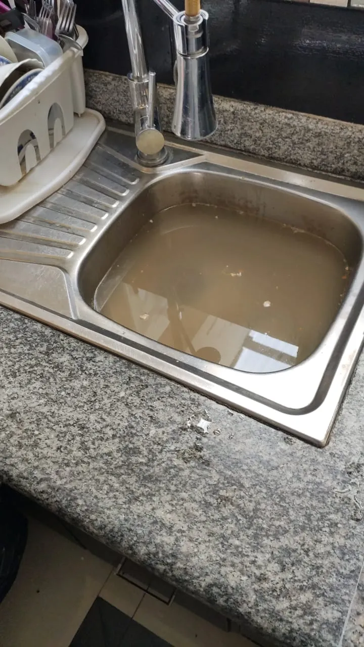 Imagen de Lavaplatos Tapados